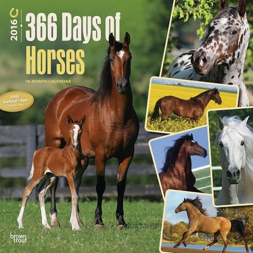 Calendar 2021 Horse 2