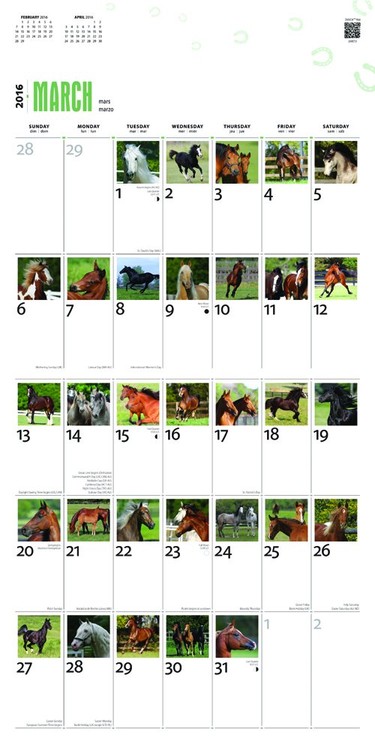 Calendar 2021 Horse 2