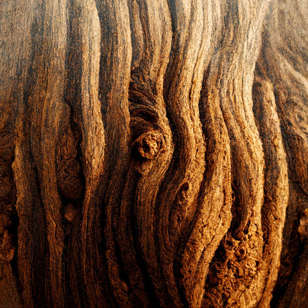 Μπλουζάκι Image Of Tree Bark Texture