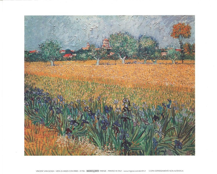 View of Arles with Irises in the Foreground, 1888 Art Print