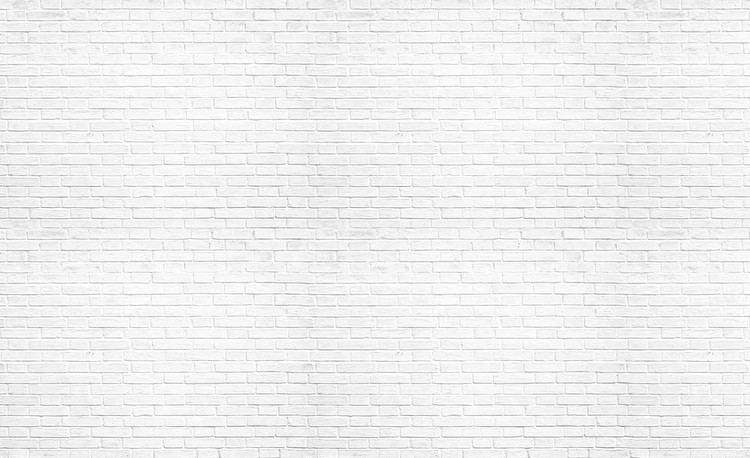 Wallpaper Mural Brick Wall White