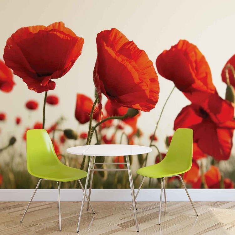 Non woven Wall Mural Photo Wallpaper Poster Picture Image Poppies Field 