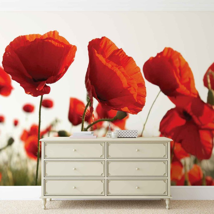 Flowers Wall Buy at | Poppies Nature Field Mural online
