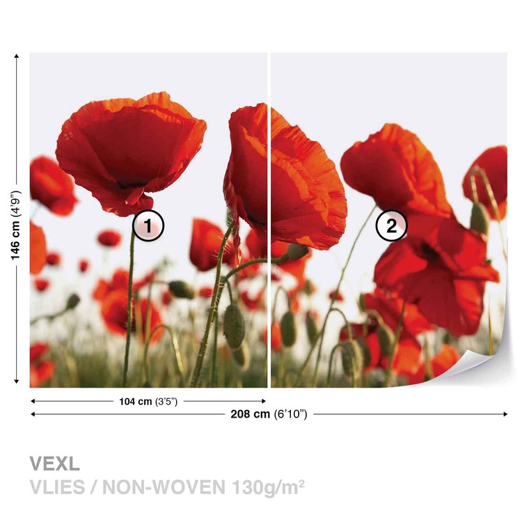 Flowers Poppies Field Wall Buy | online at Nature Mural