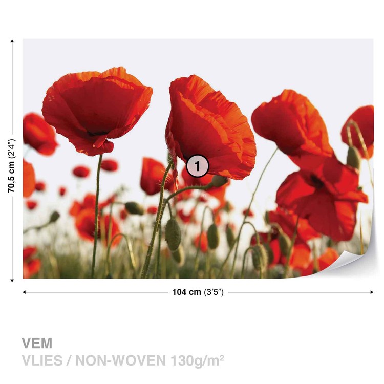 Flowers Poppies Field Nature Wall Mural | Buy online at