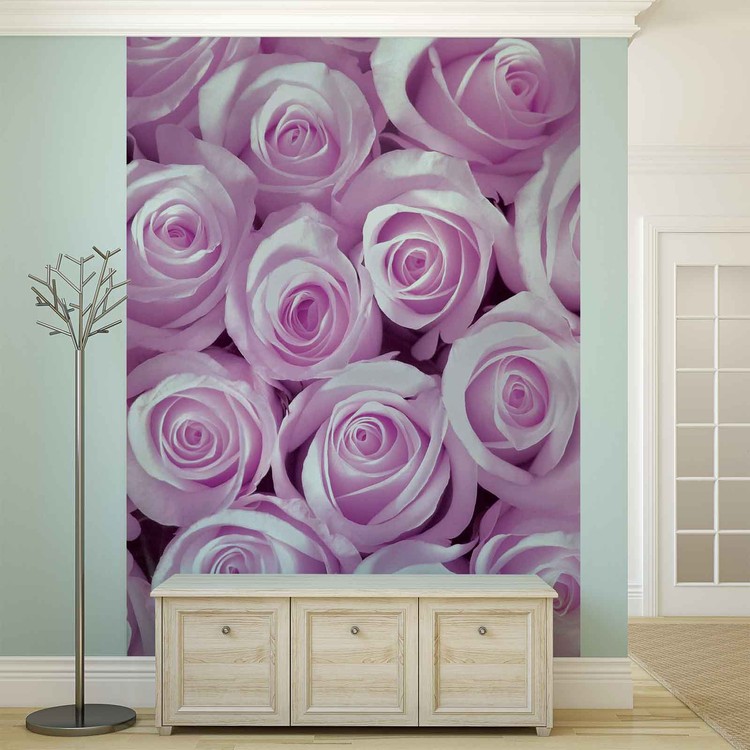 Pink Roses Wall Mural Buy online at Europosters