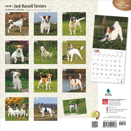 Calendar 2021 Jack Russell Terriers