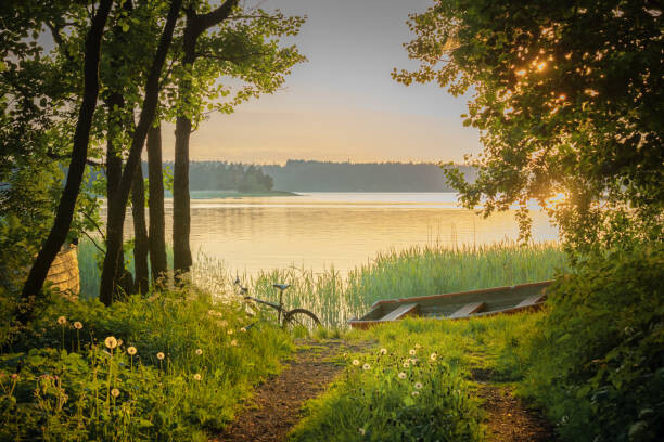 Juliste A bike, a rowboat and dandelions