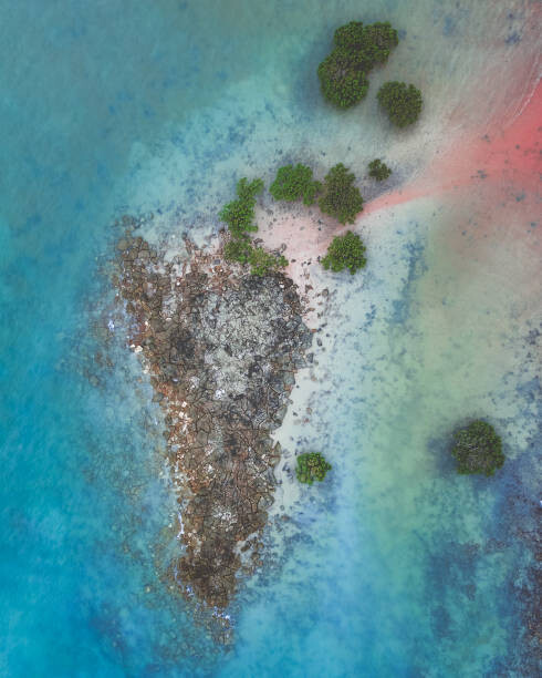 Juliste Aerial shot of tropical island, Broome, Australia