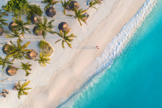 Juliste Aerial view of umbrellas, palms on