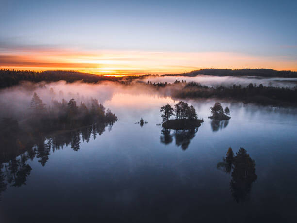 Juliste Aerial view - sunrise in the forest