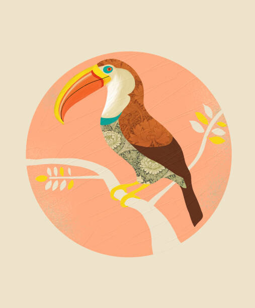 Juliste Boho Toucan
