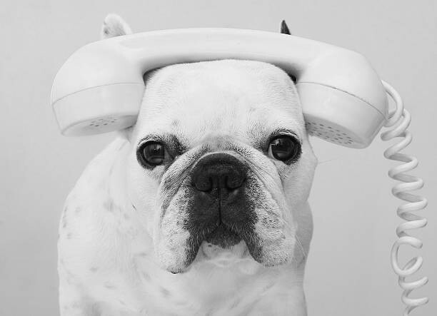 Juliste Communicating