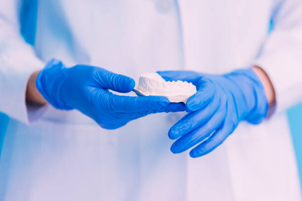 Juliste Dental model of jaw.