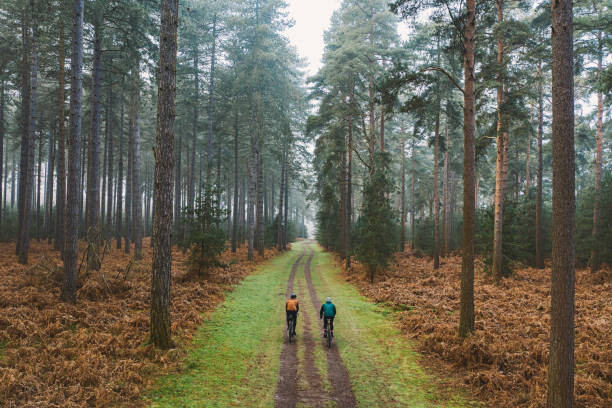 Juliste Drone view of two cyclists on forest track