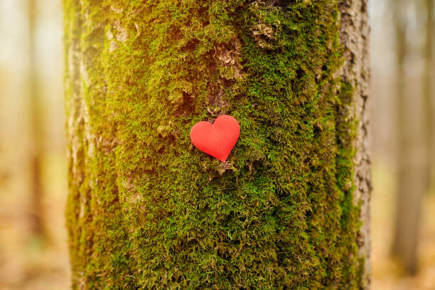 Juliste Environment protection symbol, copy space