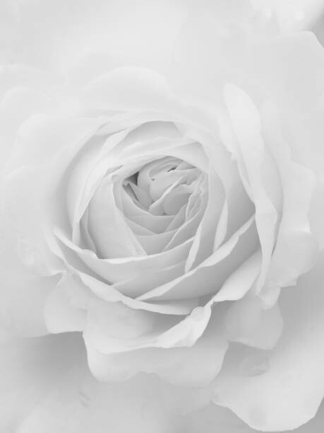 Juliste full frame close up of the