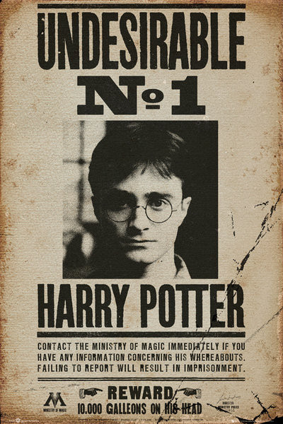 Juliste HARRY POTTER - Undesirable n1