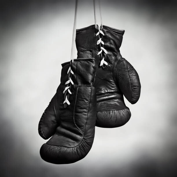 Juliste Laced boxing gloves