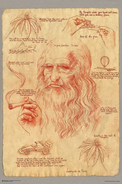 Juliste Leonardo Smoking Pot