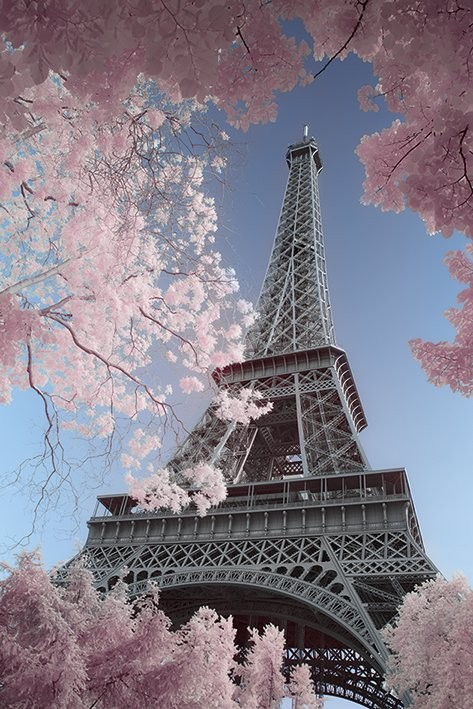 Juliste Pariisi - Eiffel Tower, David Clapp