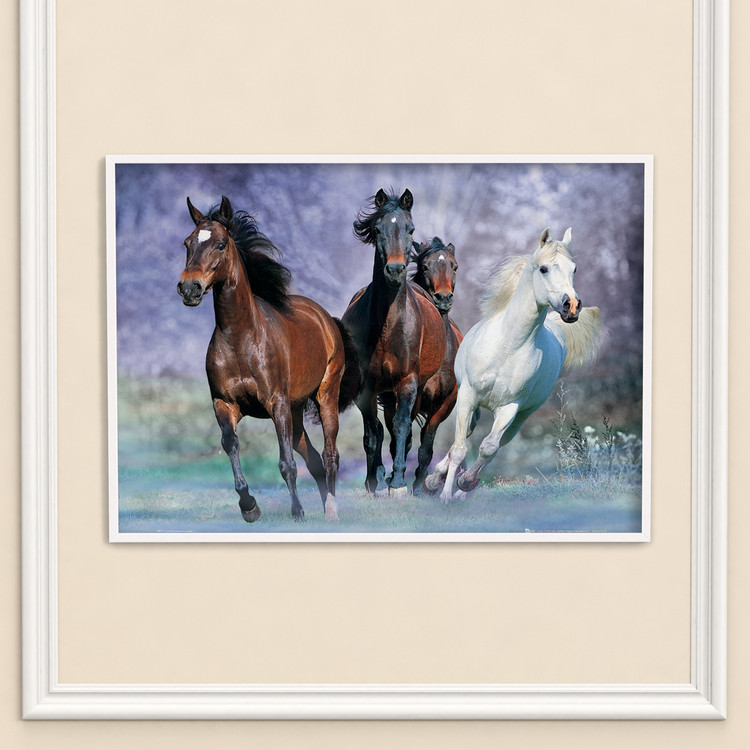 Juliste Running horses - bob langrish