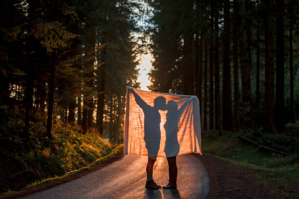 Juliste Silhouette of couple holding blanket kissing
