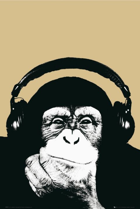 Juliste Steez - monkey