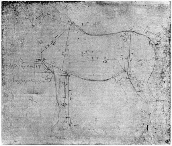 Juliste Study of a Horse (metal point on paper)