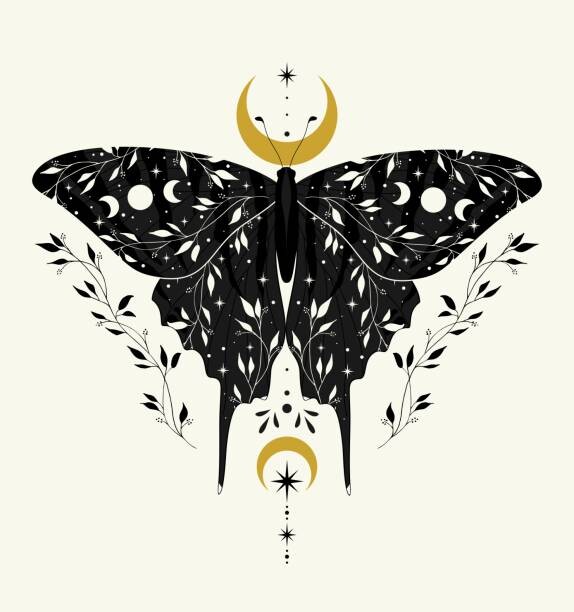 Juliste Vector illustration with black butterfly and