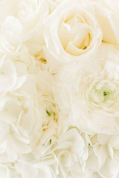 Juliste Vertical top view of a beautiful