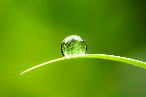 Juliste Waterdrop.  Water Drop Leaf Environmental