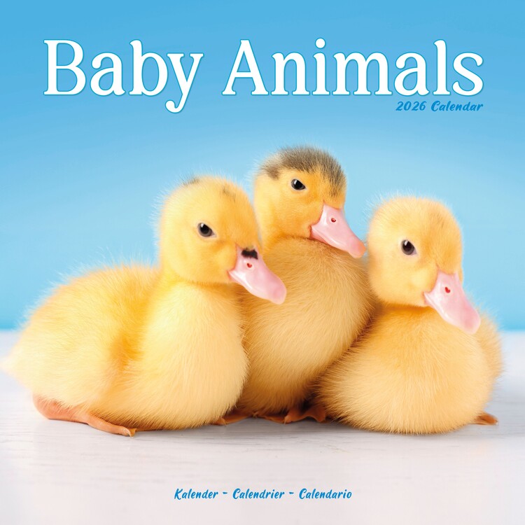 Kalendar 2026 Baby Animals