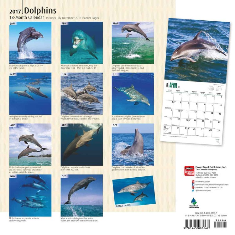 Delfiini - Seinäkalenterit 2017 | Osta Europosters