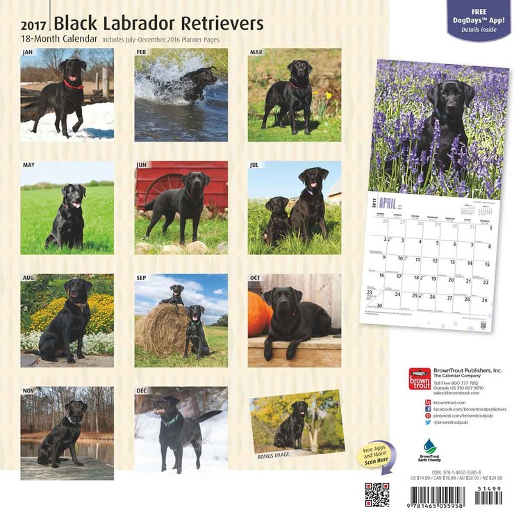 Calendar 2021 Labrador Retriever - Black