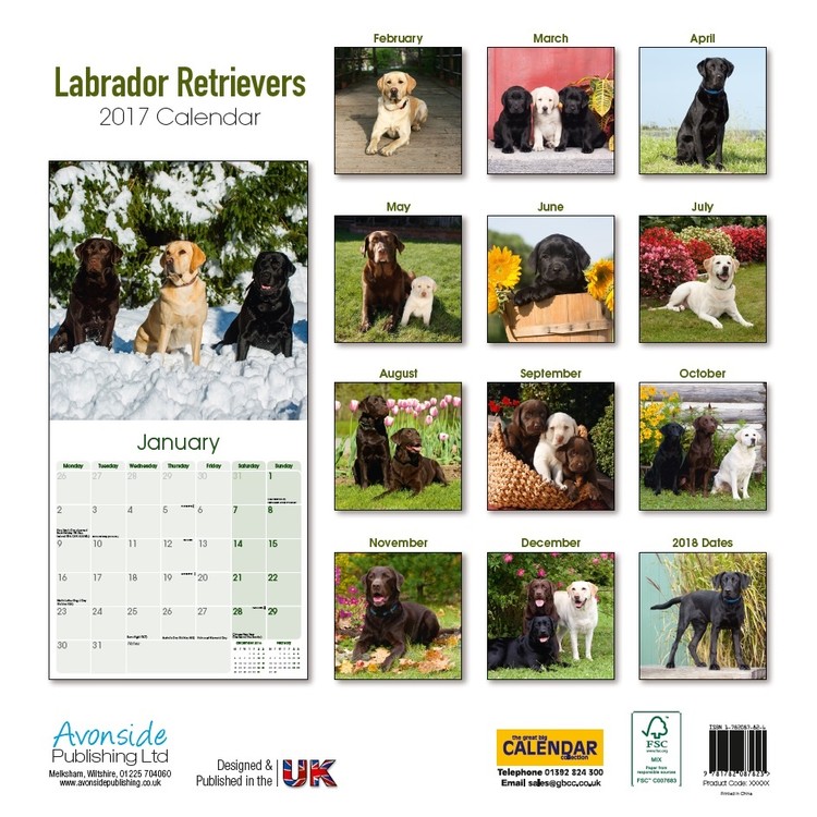 Calendar 2021 Labrador Retriever