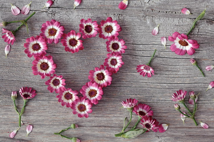 Lasitaulu Pink Heart made of Flowers