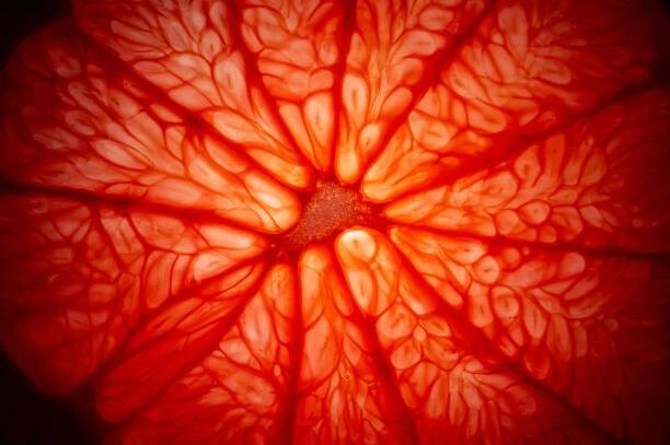 Bilde på lerret Grapefruit cure closeup