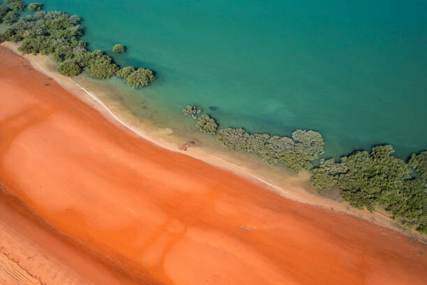 Autocolante Mangrove trees running alongside Simpson Beach