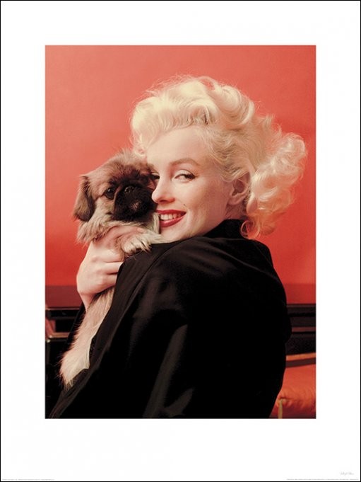 Art Print Marilyn Monroe - Love