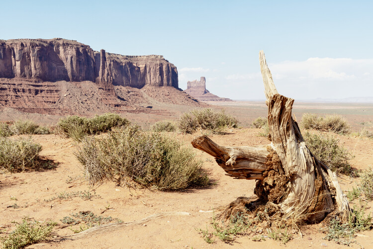 Art Photography American West - Monument Valley