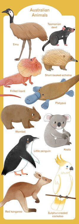 Poster Australian Animals