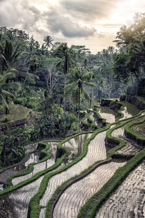 Valokuvataide Bali Landscape