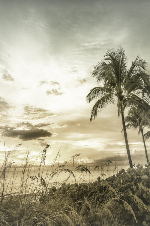 Arte Fotográfica BONITA BEACH Bright Vintage Sunset