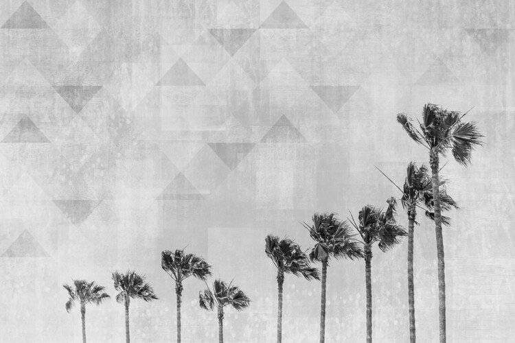 Wallpaper Mural California Vibes In Black & White