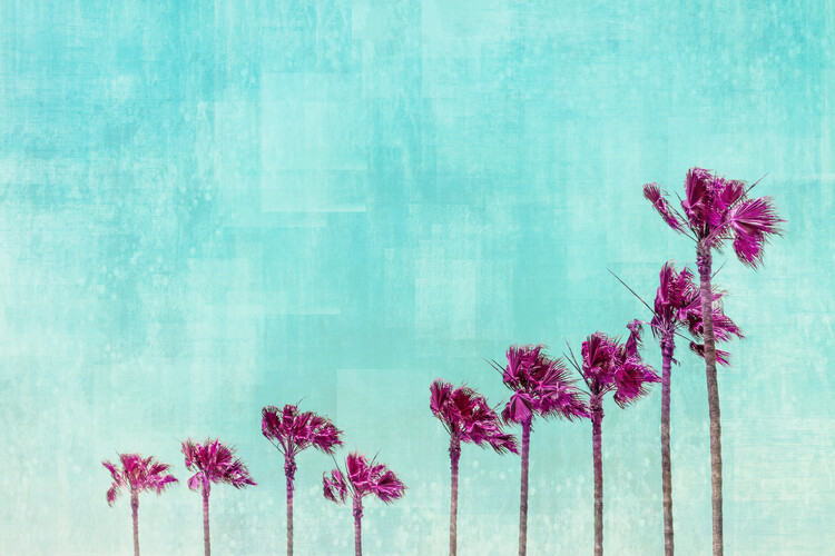 Canvas Print California Vibes In Psychadelic Colors