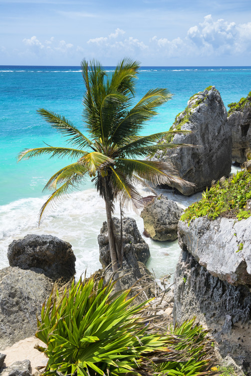Taide valokuvaus Caribbean Coastline