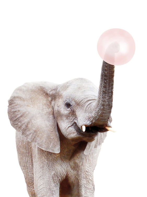 Canvas Print Elephant with bubble gum