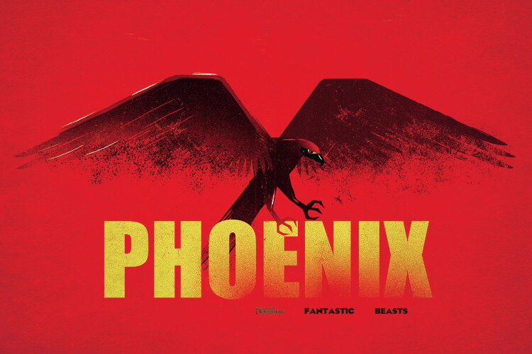 Valokuvatapetti Fantastic Beasts - Phoenix
