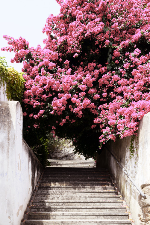 Canvas Print Flowery Staircase